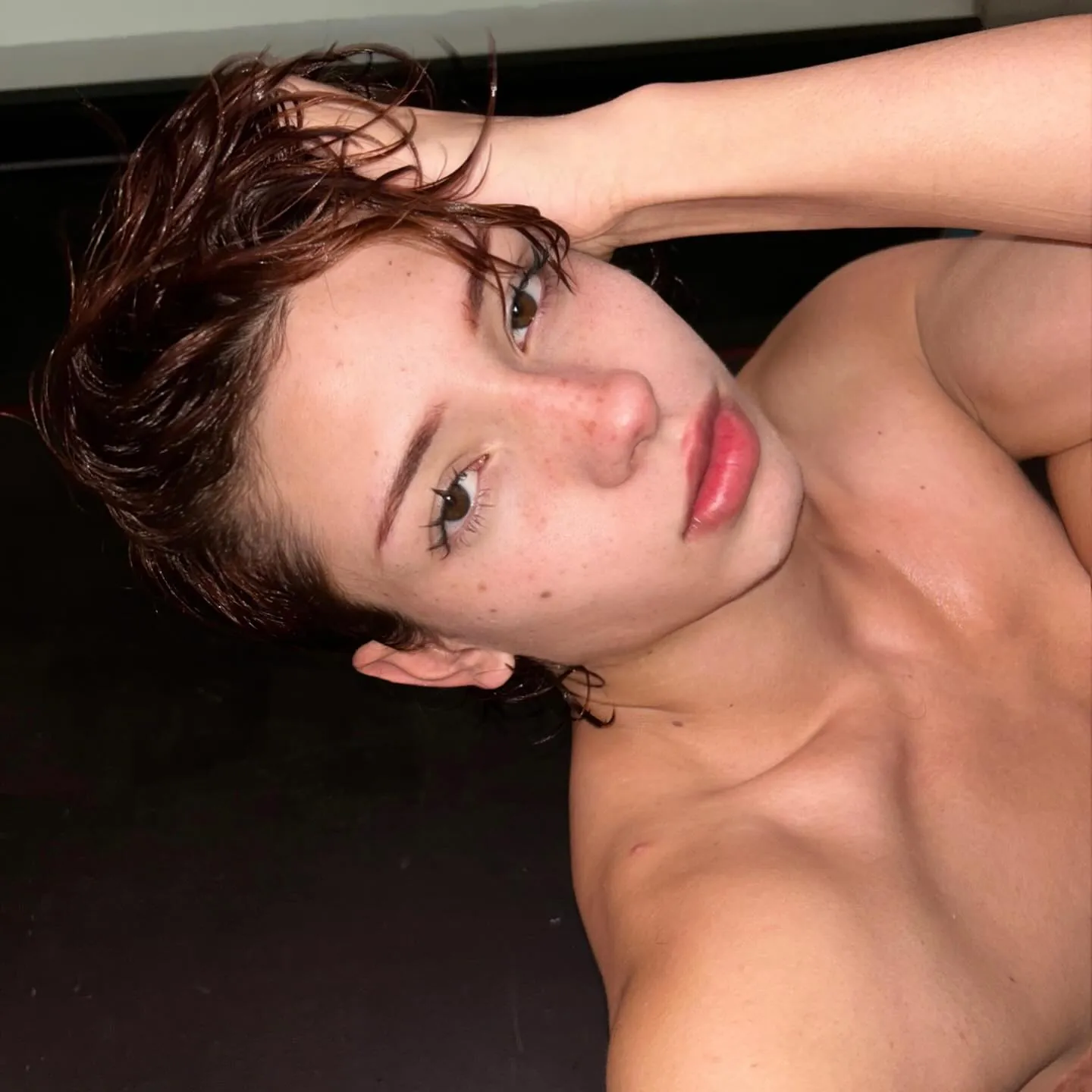 imdinofer camshow