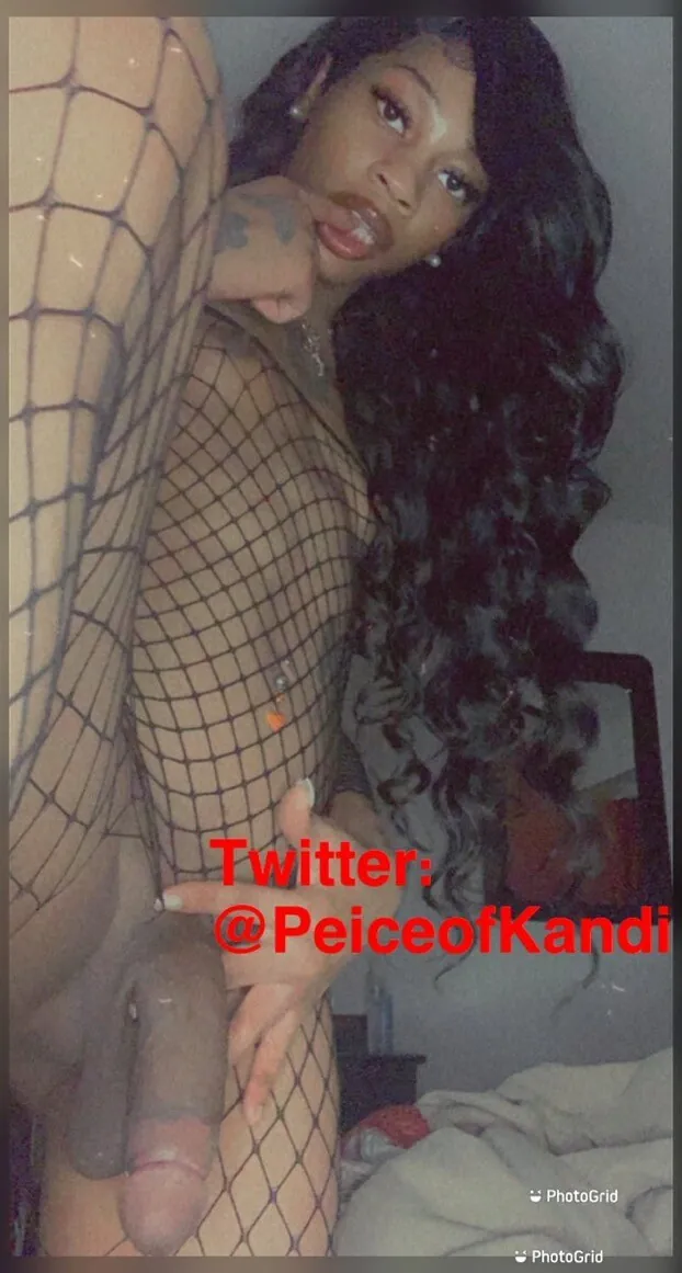 TheDreamDoll camshow