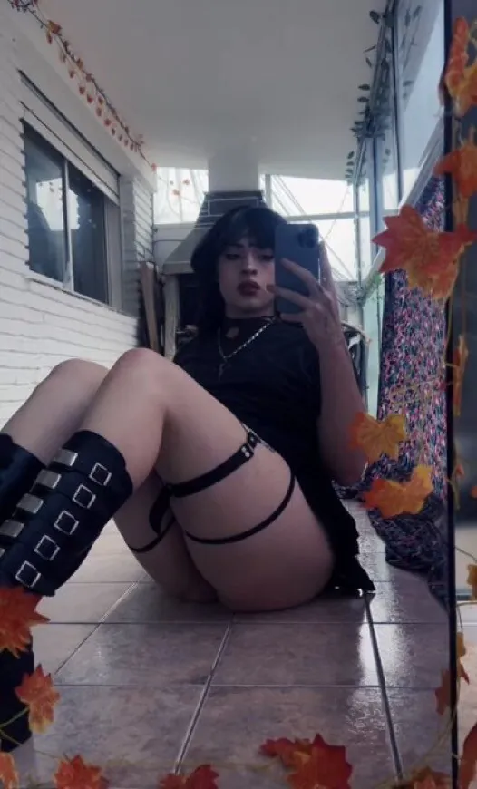 zowebrat camshow