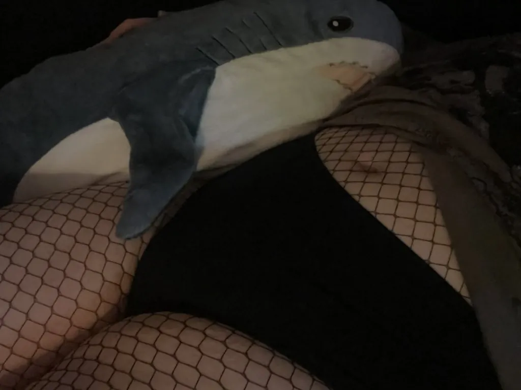 Aspen camshow