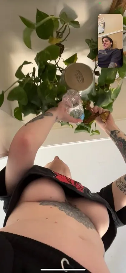 Wesley Fox camshow